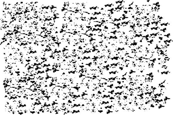 Download Rough Vector Grungy Texture - Texture Collection