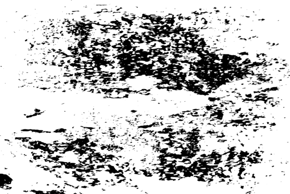 Download Black and White Vector Grungy Texture - Texture Collection